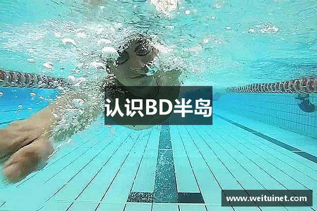 认识BD半岛